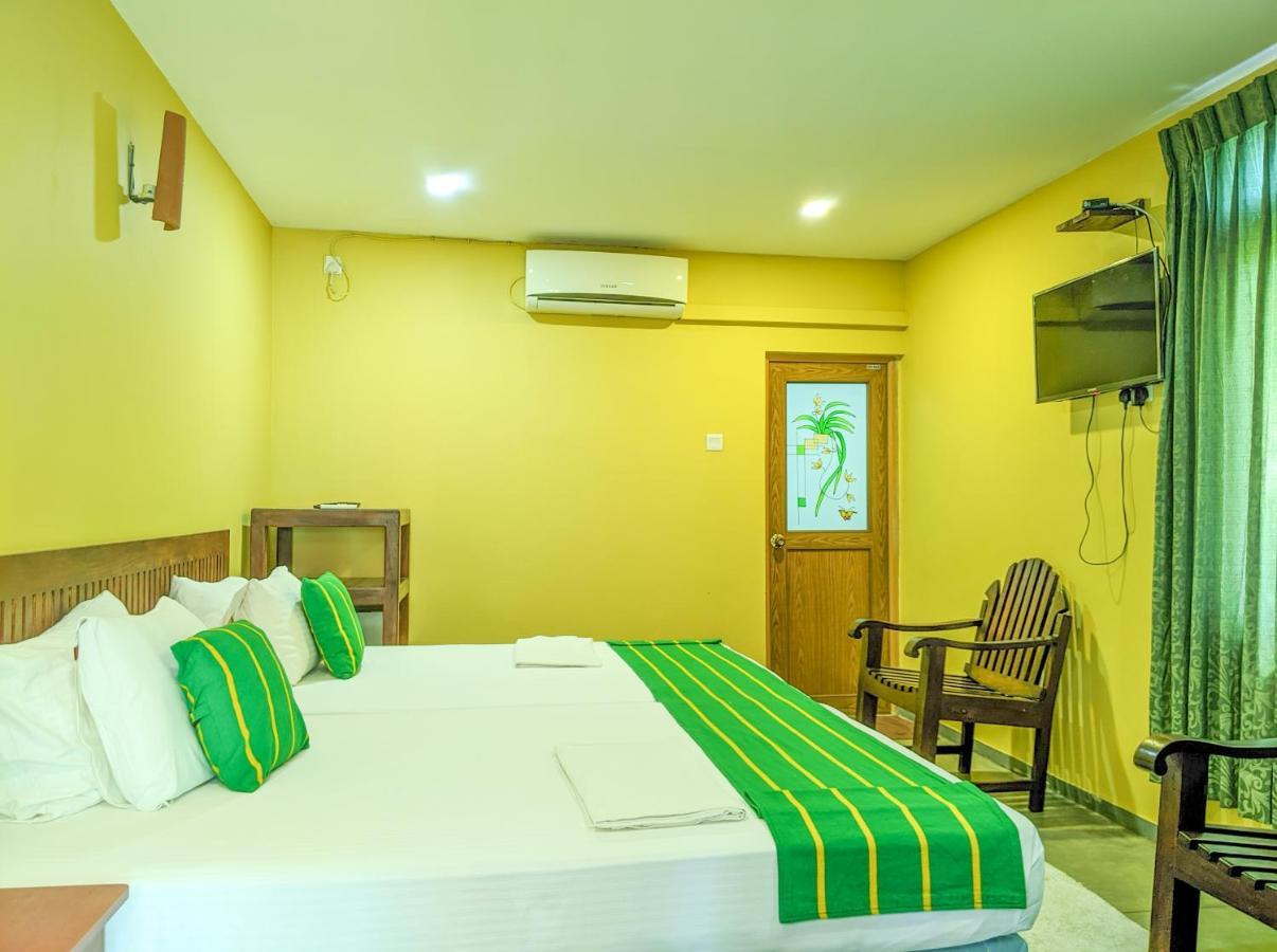 Bed and Breakfast Yala Golden Wild Tissamaharama Exteriér fotografie